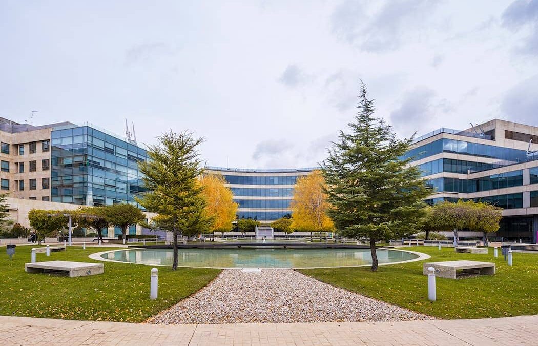 Oficinas CARREFOUR Edificio Omega ALCOBENDAS  MADRID